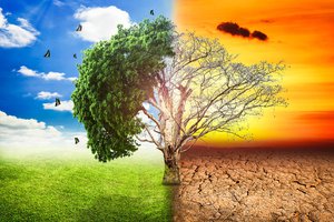 global-warming-climate-change-tree_1big_stock2.jpg