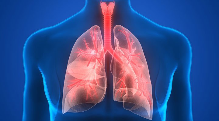 World Pneumonia Day: Signs And Symptoms Of Pneumonia | New Spotlight ...