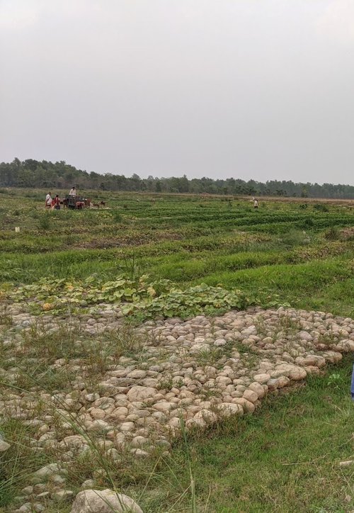 kankai river bed.jpg