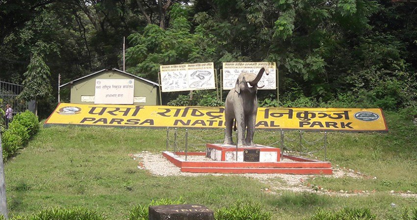 Tourist Arrival Up In Parsa National Park 